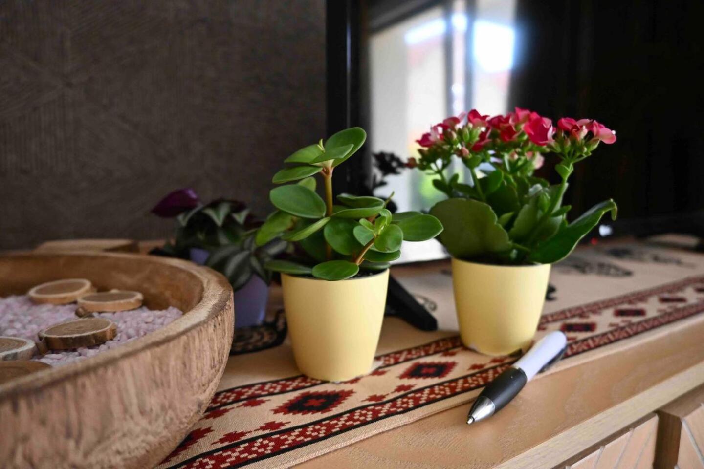 Cosy Apartment Near Strasbourg Mommenheim 外观 照片